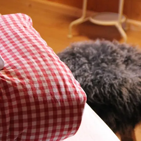 Schifer Berghaus Hotell Klosters