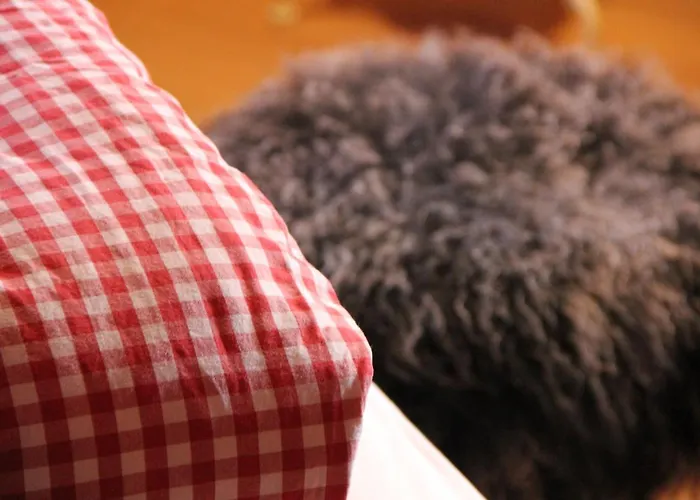 Schifer Berghaus Klosters