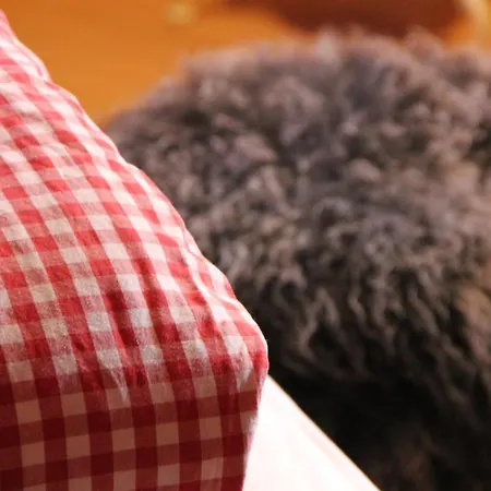 Schifer Berghaus Klosters