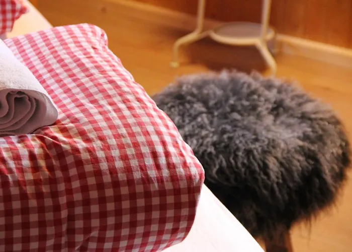 Schifer Berghaus Szálloda Klosters